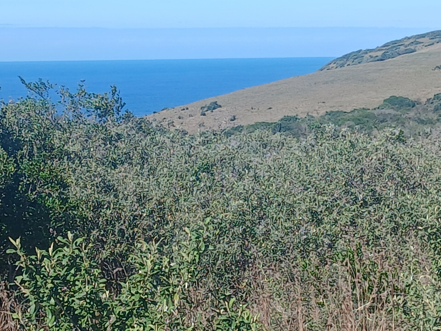 0 Bedroom Property for Sale in Haga Haga Eastern Cape